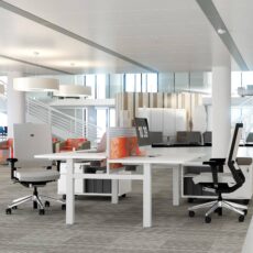 Progress Lite - Hand Crank Height Adjustable Double Bench