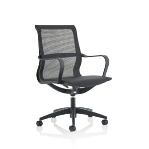 Lula Medium Mesh Back Executive Office Chair with Arms