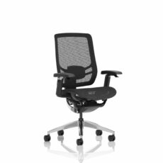 Ergo Click High Back Ergonomic Posture Office Chair with Arms