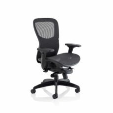 Stealth Shadow High Mesh Back Ergonomic Posture Chair with Arms
