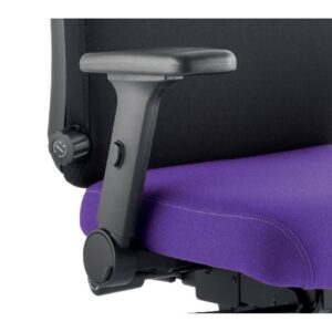 Height Adjustable & Folding Arms