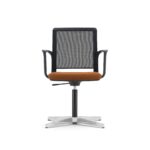 Swivel on 4-Star Base & Glides