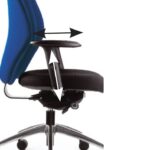 Multifunctional Arms